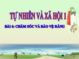 Bài giảng Tự nhiên và Xã hội Lớp 1 - Bài 6: Chăm sóc và bảo vệ răng