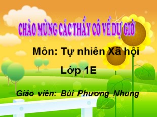 Bài giảng Tự nhiên và xã hội Lớp 1 - Bài: Nhà ở - Bùi Phương Nhung