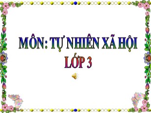 Bài giảng Tự nhiên xã hội 3 - Tuần 25: Động vật