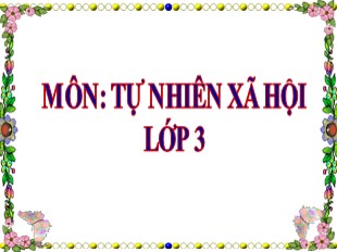 Bài giảng Tự nhiên xã hội 3 - Tuần 32: Ngày và đêm trên trái đất