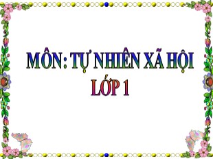 Bài giảng Tự nhiên xã hội Lớp 1 - Bài 7: Thực hành đánh răng và rửa mặt