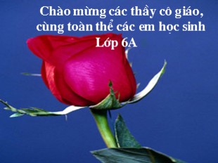 Bài giảng Lịch sử 6 - Tiết 31, Bài 26: Cuộc đấu tranh giành quyền tự chủ của họ Khúc, họ Dương