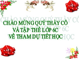 Bài giảng Lịch sử Lớp 6 - Bài 23 : Những cuộc khởi nghĩa lớn trong các thế kỉ VII - IX - Lạc An