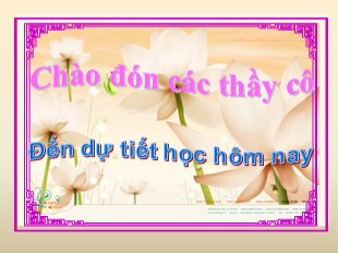 Bài giảng Lịch Sử Lớp 6 - Bài 24 : Nước Cham-Pa từ thế kỉ II đến thế kỉ X - Nguyễn Thị Ngọc