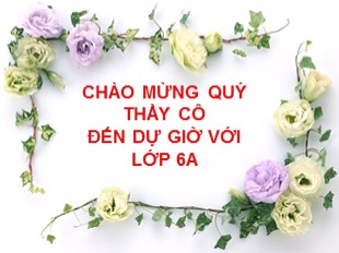 Bài giảng Lịch sử Lớp 6 - Tuần 32, Tiết 32, Bài 27: Ngô Quyền và chiến thắng Bạch Đằng năm 938