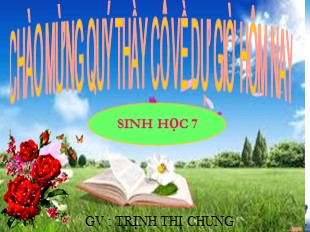 Bài giảng Sinh học 7 Bài 55: Tiến hóa về sinh sản - Trịnh Thị Chung
