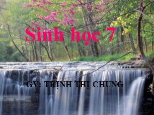 Bài giảng Sinh học 7 Bài 57: Đa dạng sinh học - Trịnh Thị Chung