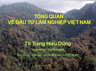 Đề tài tổng quan về đầu tư lâm nghiệp Việt Nam - TS Trang Hiếu Dũng
