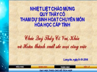 Sinh hoạt chuyên môn hóa học cấp tỉnh Long An - Nguyễn Thị Tuyết Hoa