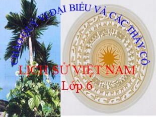 Bài giảng Lịch Sử 6 - Tiết 13, Bài 12: Nước Văn Lang - Nguyễn Thị Bảo Anh