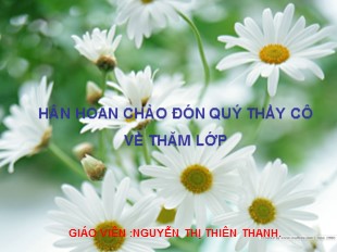 Bài giảng Sinh học 7-  Bài 46: Thỏ - Nguyễn Thị Thiên Thanh