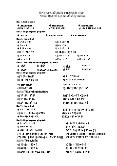 Bài tập ôn tập giữa học kì I môn Đại số Lớp 6 - Chủ đề: Số tự nhiên