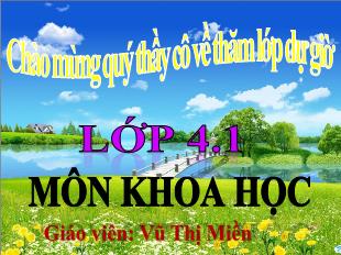 Bài giảng Khoa học Lớp 4 - Bài 40: Bảo vệ bầu không khí trong sạch - Vũ Thị Miền - Năm học 2021-2022