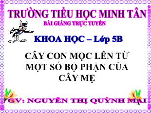 Bài giảng Khoa học Lớp 5 - Bài: Cây con mọc lên từ một số bộ phận của cây mẹ - Lê Thị Thanh Thủy