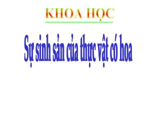 Bài giảng Khoa học Lớp 5 - Bài: Sự sinh sản của thực vật có hoa