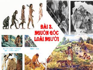 Bài giảng Lịch sử Khối 6 - Bài 3: Nguồn gốc loài người