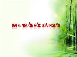 Bài giảng Lịch sử Lớp 6 - Bài 4: Nguồn gốc loài người