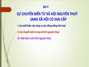 Bài giảng Lịch sử Lớp 6 - Bài 5: Sự chuyển biến từ xã hội nguyên thủy sang xã hội có giai cấp