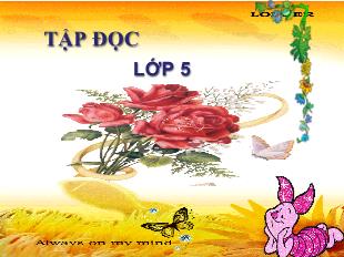 Bài giảng Tập đọc Lớp 5 - Bài: Cao Bằng