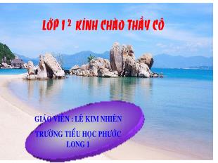 Bài giảng Toán Lớp 1 - Bài 29: Phép cộng số có hai chữ số với số có một chữ số - Năm học 2020-2021 - Lê Kim Nhiên