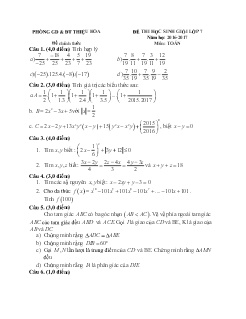225 đề thi học sinh giỏi môn Toán Lớp 7 (Có đáp án)