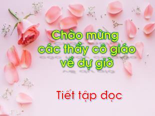 Bài giảng Tiếng Việt Lớp 1 - Tập đọc: Câu chuyện của rễ