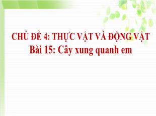 Bài giảng Tự nhiên và xã hội Khối 1 - Bài 15: Cây xung quanh em