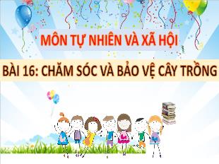 Bài giảng Tự nhiên và xã hội Lớp 1 - Bài 16: Chăm sóc và bảo vệ cây trồng