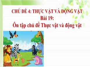 Bài giảng Tự nhiên và xã hội Lớp 1 - Bài 19: Ôn tập chủ đề Thực vật và động vật