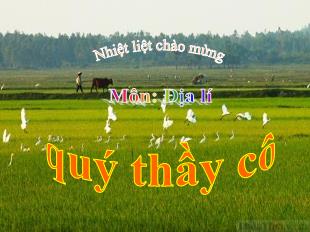 Bài giảng Lịch sử và Địa Lí 4 Sách Cánh diều - Bài: Đồng bằng Bắc Bộ