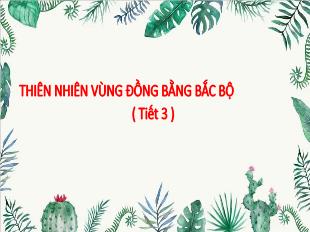 Bài giảng Lịch sử và Địa lí 4 Soạn chung - Bài: Thiên nhiên vùng đồng bằng Bắc Bộ (Tiết 3)