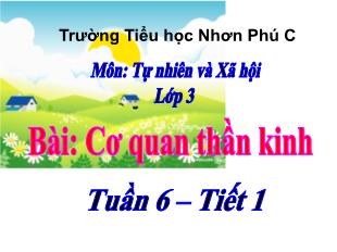 Bài giảng Tự nhiên xã hội Lớp 3 - Tuần 6, Bài: Cơ quan thần kinh - Năm học 2021-2022 - Trường Tiểu học Nhơn Phú C