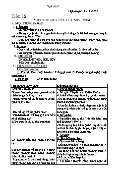 Kế hoạch bài dạy Ngữ Văn 7 - Tiết 56 đến 59 - Năm học 2020-2021 - Nguyễn Duy Đại