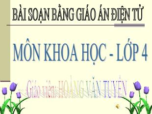 Bài giảng Khoa học 4 - Bài: Gió nhẹ, gió mạnh. Phòng chống bão - Hoàng Văn Tuyển