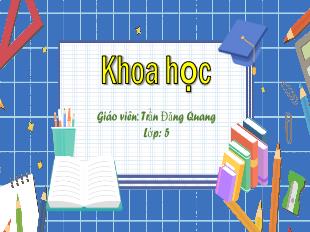 Bài giảng Khoa học 5 - Bài: Tre, mây, song - Trần Đăng Quang