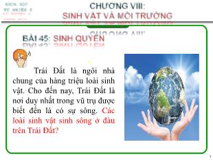 Bài giảng Khoa học tự nhiên 8 (Kết nối tri thức) - Chương VIII: Sinh vật và môi trường - Bài 45: Sinh quyển