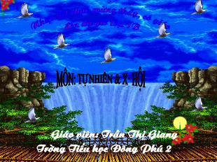 Bài giảng Tự nhiên xã hội 1 - Tiết 11: Gia đình Quan sát tranh