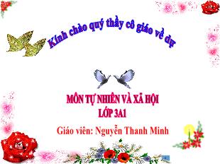 Bài giảng Tự nhiên xã hội 3 (Kết nối tri thức) - Bài: Hoạt động sản xuất nông nghiệp (Tiết 1) - Nguyễn Thanh Minh