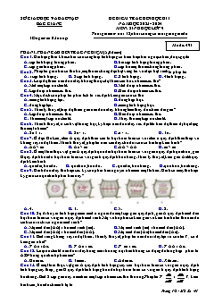 Đề kiểm tra cuối học kì I Sinh học 9 - Mã đề 491 - Năm học 2023-2024 - Sở GD&ĐT Bắc Giang (Có đáp án)