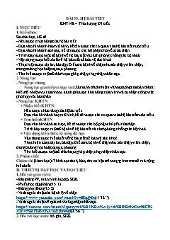 Giáo án Khoa học tự nhiên 8 (Kết nối tri thức) - Bài 35: Hệ bài tiết