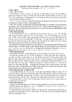 Giáo án Mầm non Khối Lá - Chủ đề 6: Thế giới thực vật. Tết và mùa xuân - Năm học 2024-2025