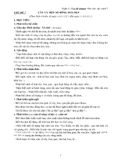 Giáo án Mầm non Khối Mầm - Chủ đề 7: Cây và 1 số bông hoa đẹp - Năm học 2024-2025