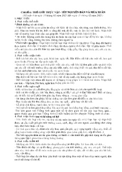 Giáo án Mầm non Lớp Chồi - Chủ đề 6: Thế giới thực vật. Tết Nguyên Đán và mùa xuân - Năm học 2024-2025