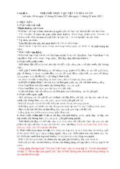 Giáo án Mầm non Lớp Chồi - Chủ đề 6: Thế giới thực vật. Tết và mùa xuân - Năm học 2024-2025