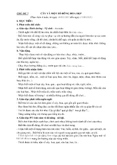 Giáo án Mầm non Lớp Mầm - Chủ đề 7: Cây và 1 số bông hoa đẹp - Năm học 2024-2025