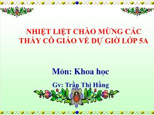 Bài giảng Khoa học 5 - Tuần 10, Tiết 19: Thông tin về an toàn giao thông - Năm học 2016-2017 - Trần Thị Hằng