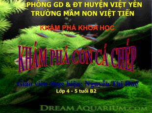 Bài giảng Mầm non Lớp Chồi - Đề tài: Khám phá Con cá chép - Nguyễn Thị Huệ