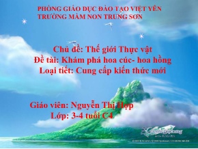 Bài giảng Mầm non Lớp Mầm - Chủ đề: Thế giới Thực vật - Đề tài: Khám phá hoa cúc- Hoa hồng - Nguyễn Thị Hợp