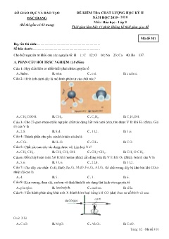 Đề kiểm tra chất lượng học kì II Hóa học 9 - Mã đề 301 - Năm học 2019-2020 - Sở GD&ĐT Bắc Giang