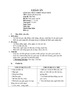 Giáo án Mầm non Lớp Lá - Chủ đề: Bản thân - Đề tài: Giác quan của bé
